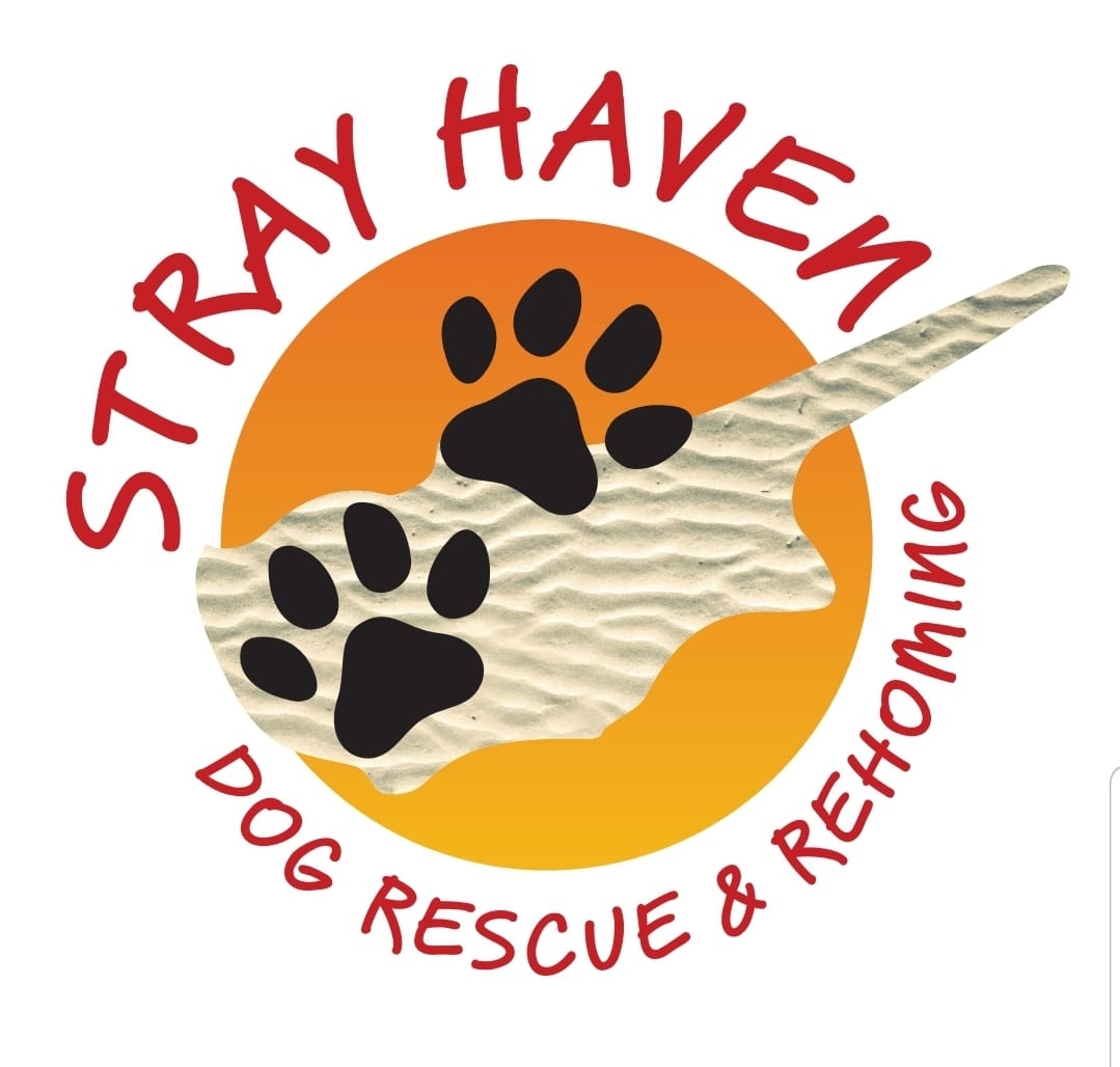 Stray Haven Dog Rescue
